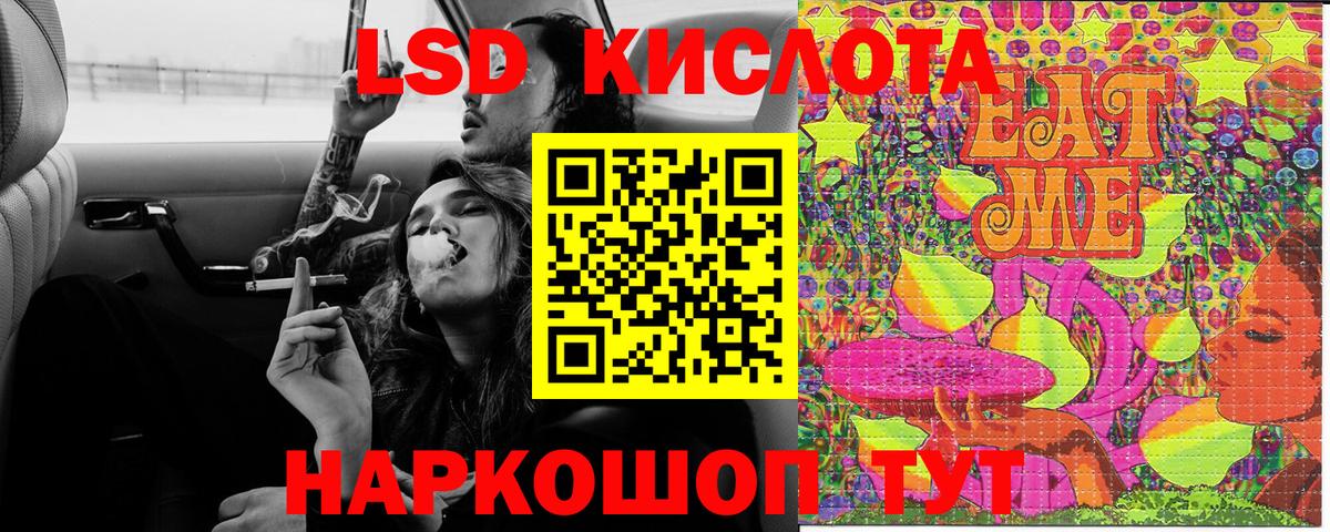 Марки NBOMe  Марки NBOMe 1500мкг  Лесной  Вход с VPN  Марки NBOMe 1500мкг 