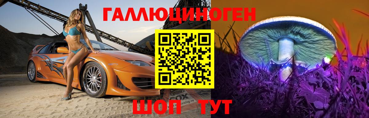 Псилоцибиновые грибы прущие грибы Лесной