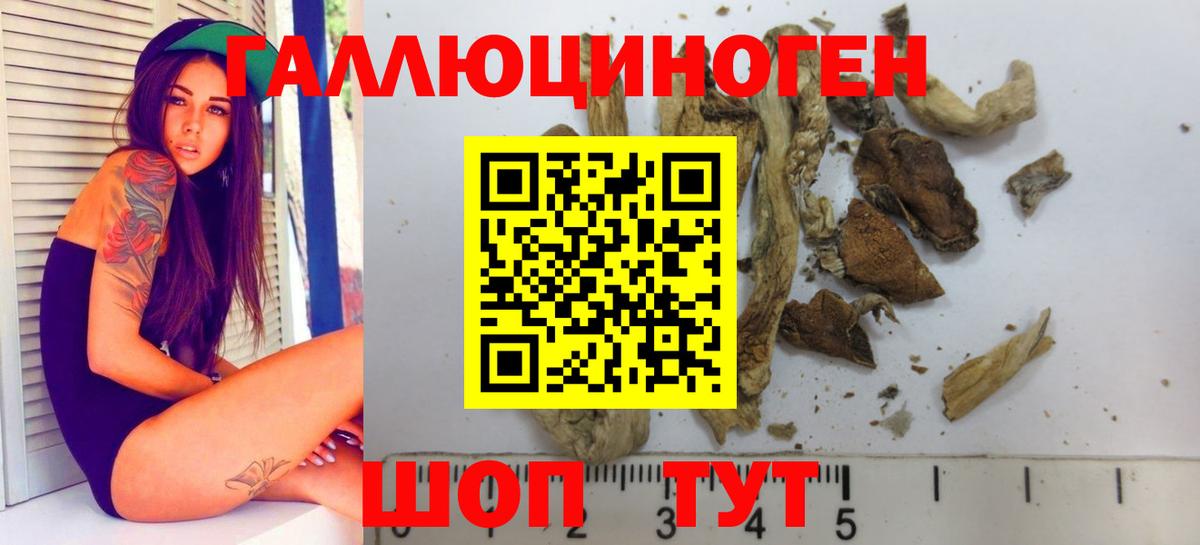 Лесной  Псилоцибиновые грибы мицелий  Вход с VPN  Псилоцибиновые грибы Psilocybe 